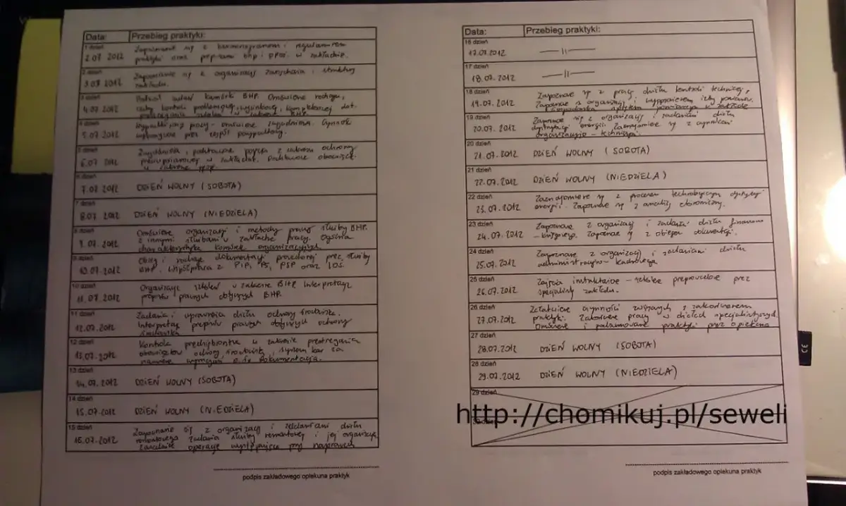 Dziennik praktyk: Jak wypełnić, by zaliczyć? Poradnik krok po kroku