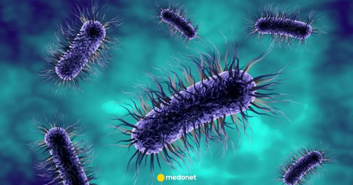 Surowa mąka i E. coli: Czy podjadanie ciasta jest bezpieczne?