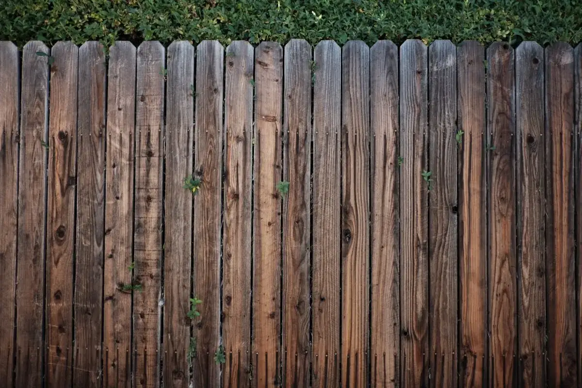 Tani płot drewniany: Jak zrobić samemu i zaoszczędzić?