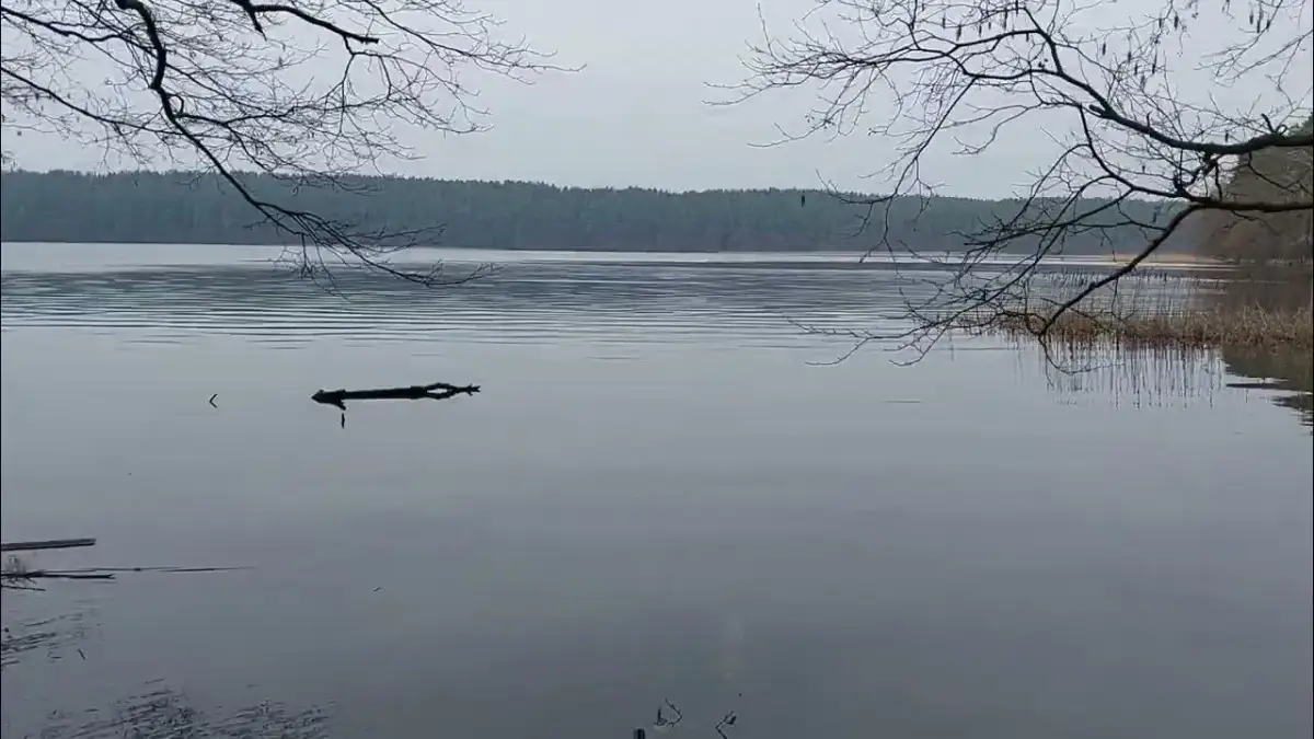 Jezioro Kośno: ukryty skarb natury z idealnymi trasami do spływu