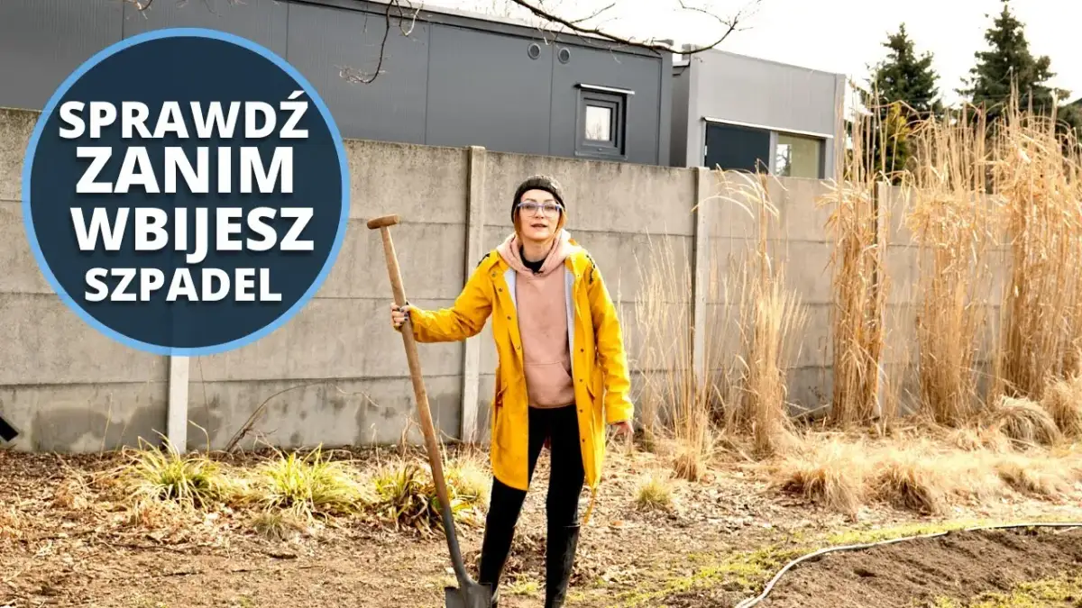 Jak zrobić warzywnik w ogrodzie i uniknąć najczęstszych błędów