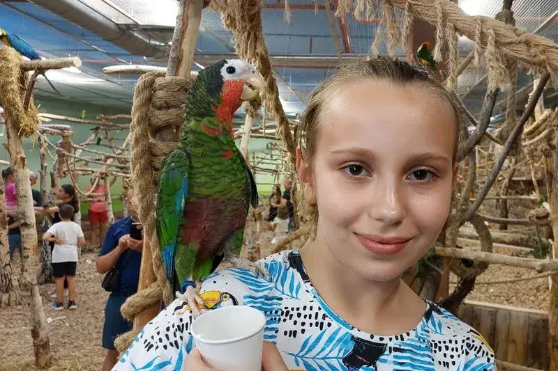 Gdzie z dzieckiem w Rzeszowie? Odkryj najlepsze atrakcje dla rodzin