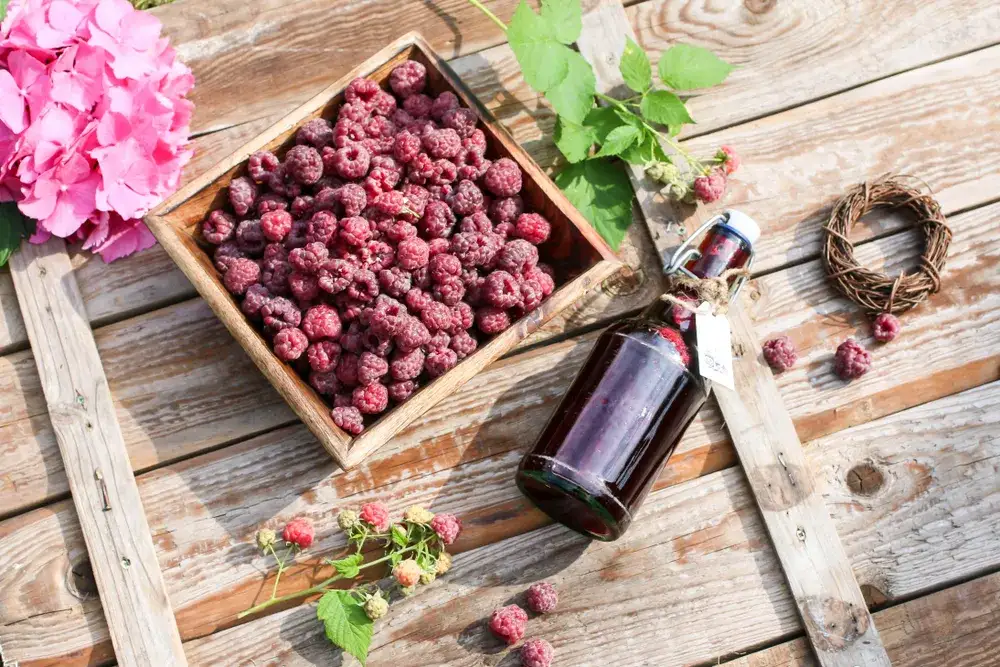 Syrop malinowy: zdrowy czy słodka pułapka? Skład ma znaczenie!