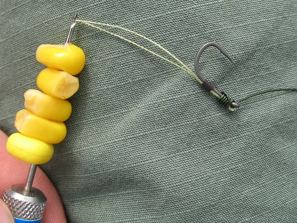 Najlepsza zanęta karp amur - skuteczne mieszanki na ryby