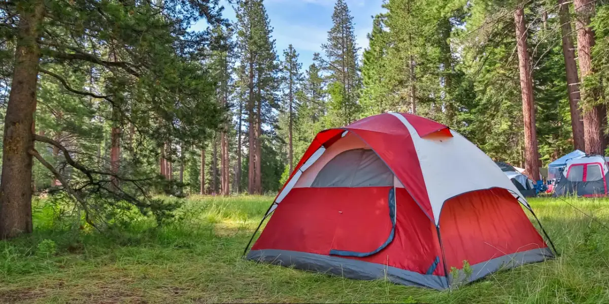 Gdzie pod namiot opolskie? Odkryj najlepsze miejsca na camping