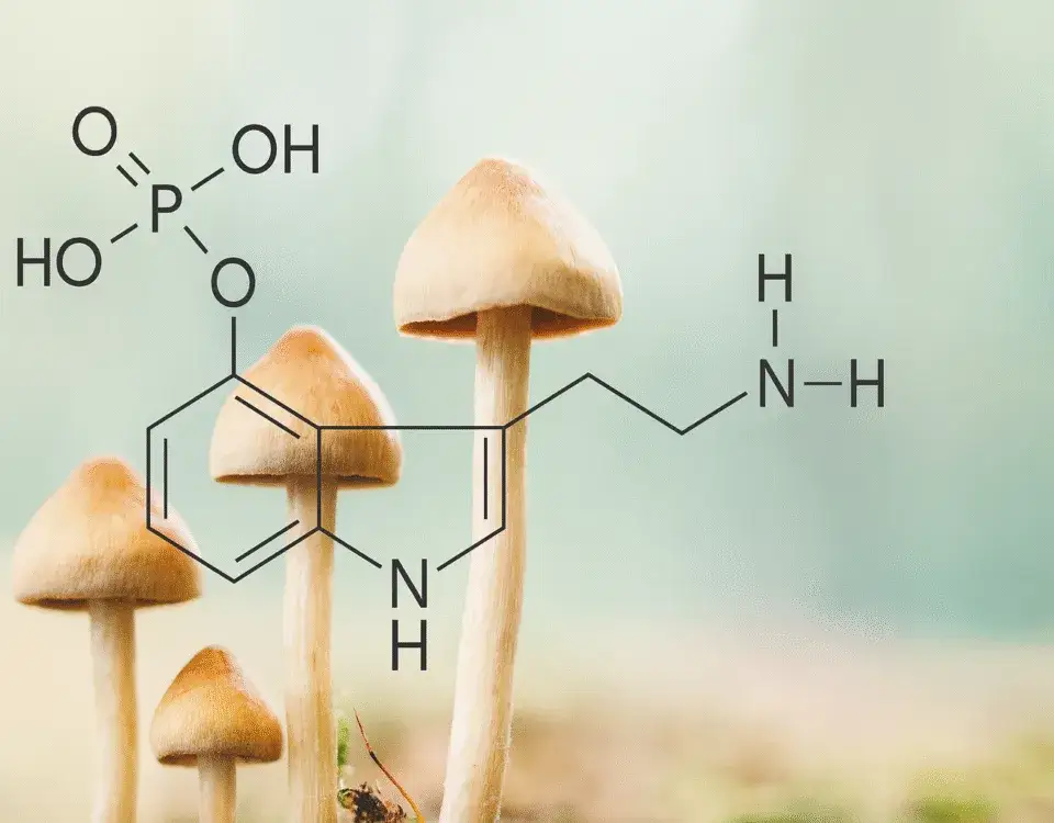 Jak rozpoznać grzyby halucynogenne - kluczowe cechy i wskazówki