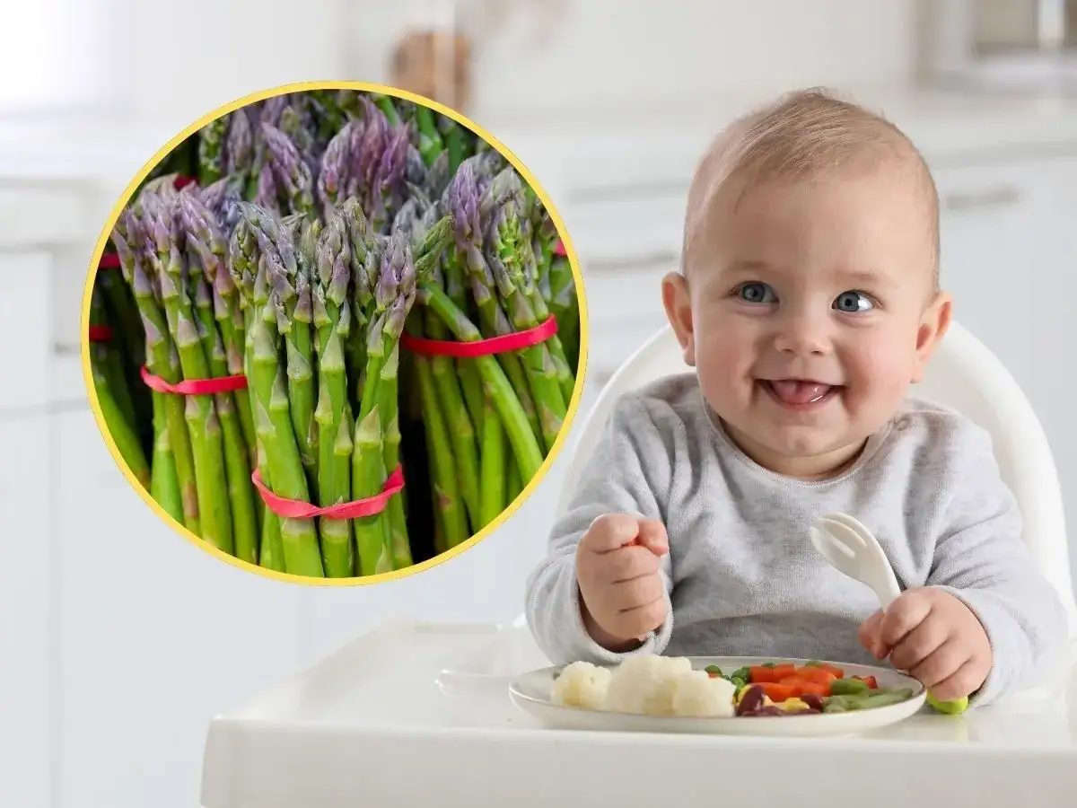 Uśmiechnięty niemowlak w krzesełku z widelcem, obok pęczek zielonych szparagów dla niemowlaka na talerzu.