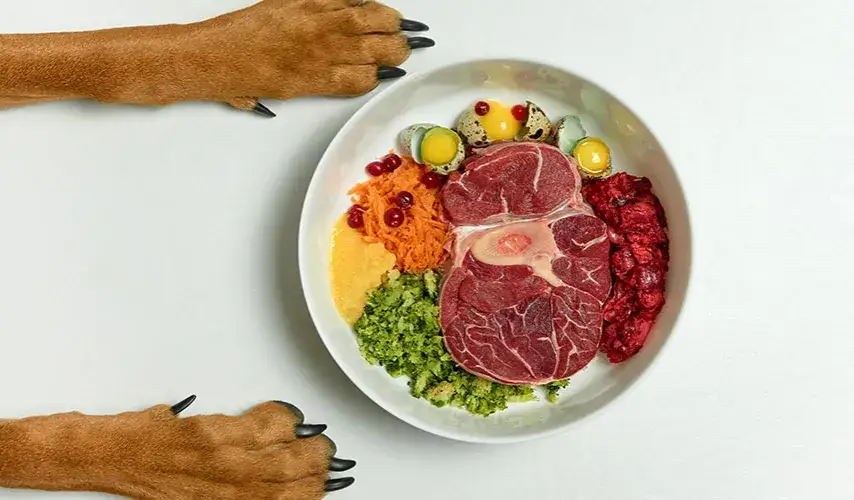 Ile gotować mięso dla psa, aby zapewnić mu zdrowie i bezpieczeństwo