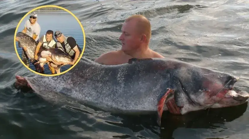 Zalew Rybnicki i Elektrownia: Ciepła woda, rekordowe sumy, rekreacja