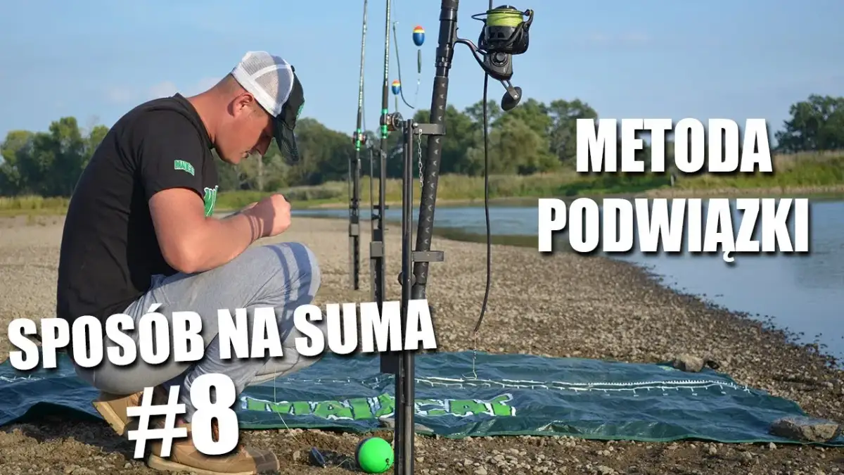 Jak skutecznie zbroić żywca na suma, unikając typowych błędów