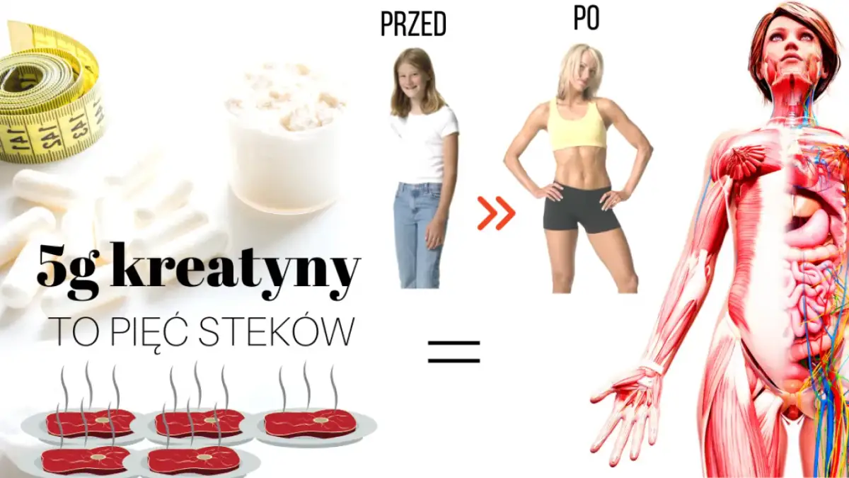 Kiedy zażywać kreatynę, aby maksymalnie zwiększyć efekty treningu?