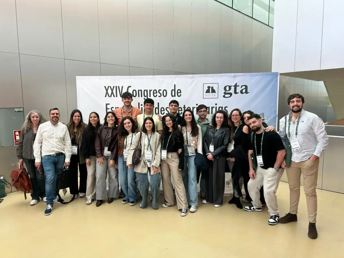 Oportunidades de empleo en AVEPA para veterinarios y profesionales