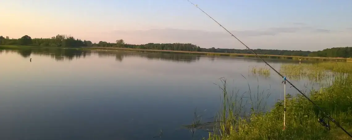 Łowisko Wapno: najlepsze miejsca na wędkowanie w Polsce i zasady