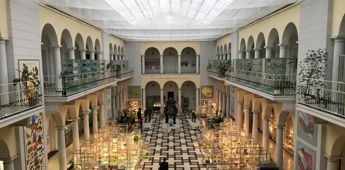 Wnętrze muzeum sztuki w Polsce z gablotami pełnymi eksponatów, rzeźbami i arkadami.