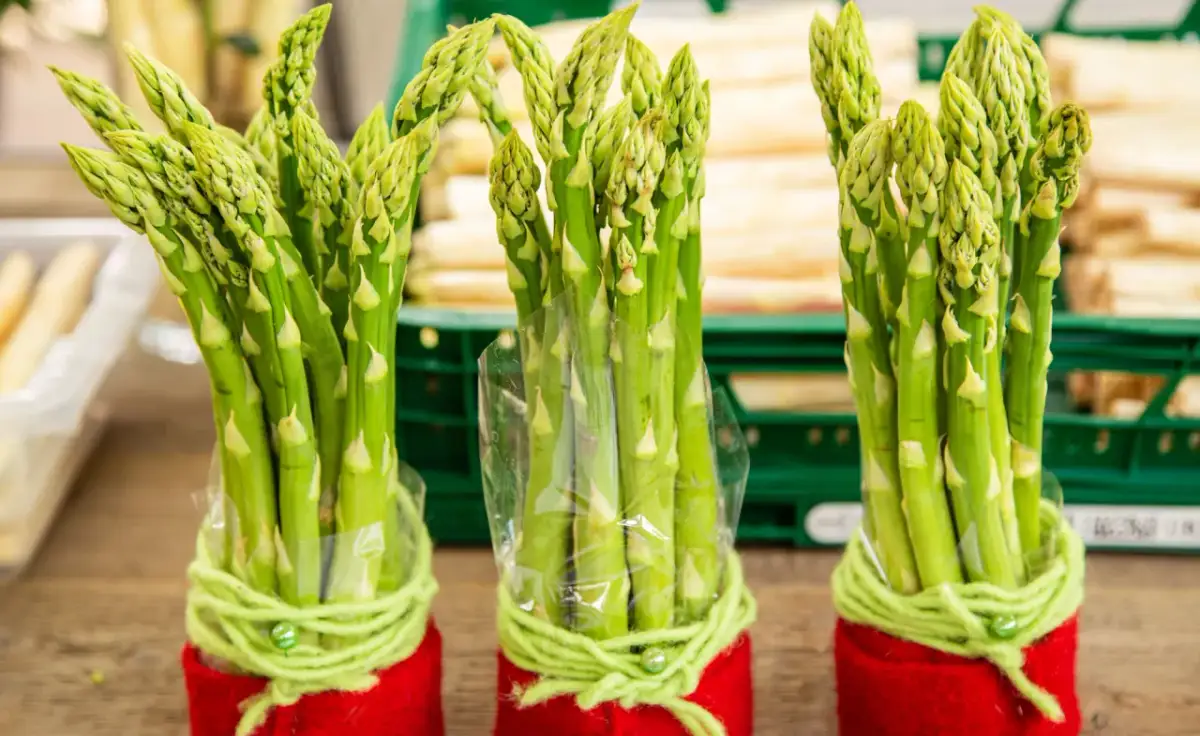 Grünen Spargel richtig aufbewahren: So bleibt er frisch und knackig