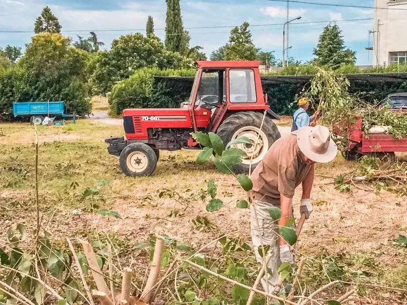Jak napisać oświadczenie o pracy w gospodarstwie rolnym bez błędów?