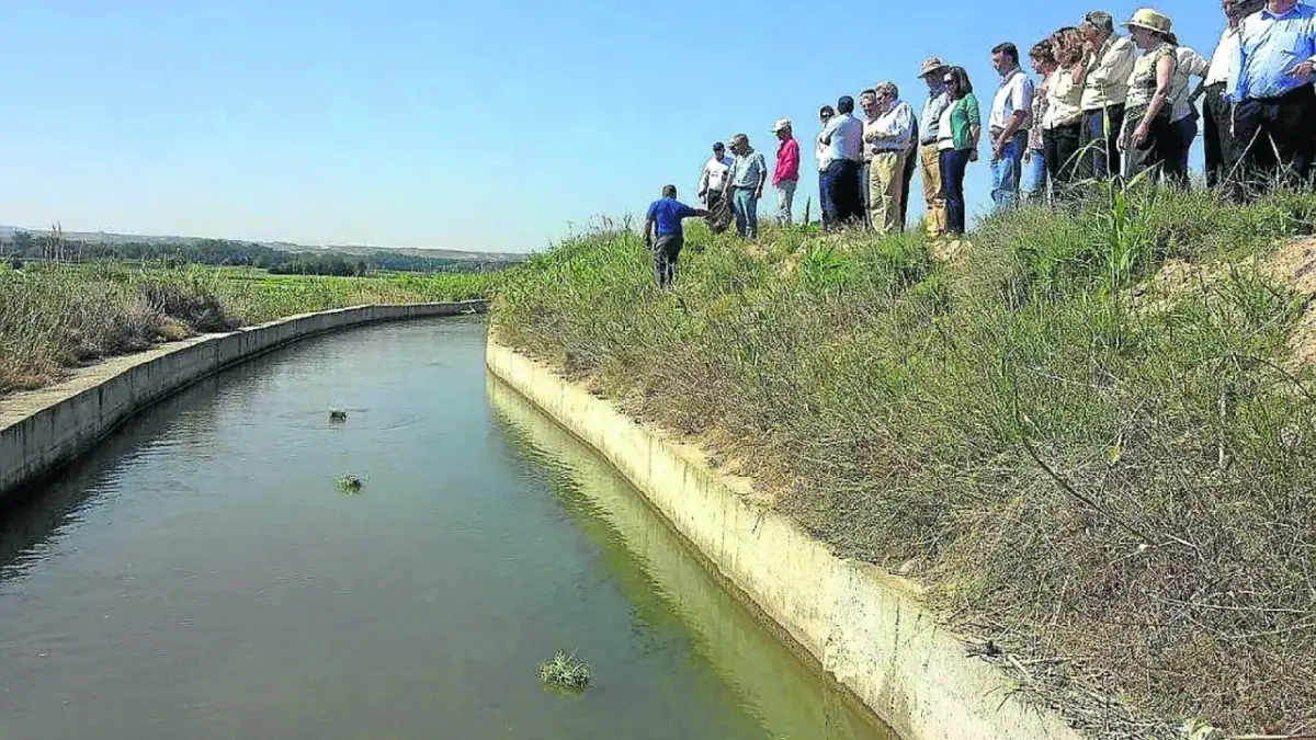 Repartir las aguas para el riego: técnicas efectivas para optimizar el agua