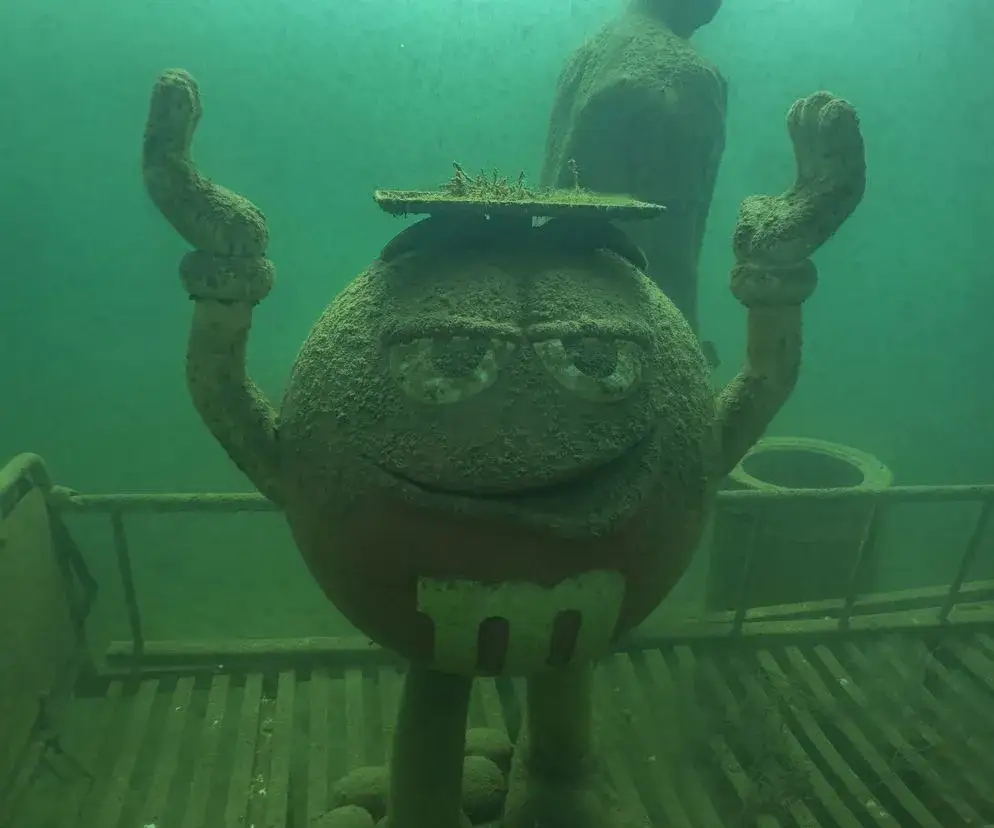 Najlepsze atrakcje Jeziora Tarnobrzeskiego, które musisz poznać