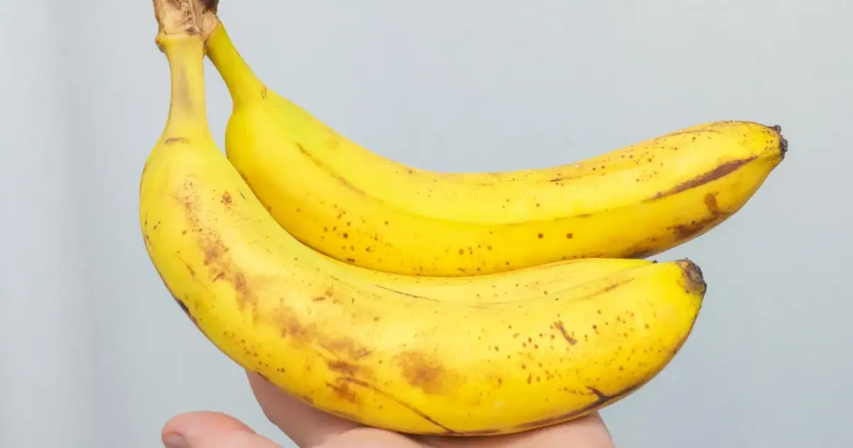 Dwa żółte banany z brązowymi plamkami, idealne na zdrową przekąskę. Zastanawiasz się, ile bananów dziennie jest dla Ciebie najlepsze?