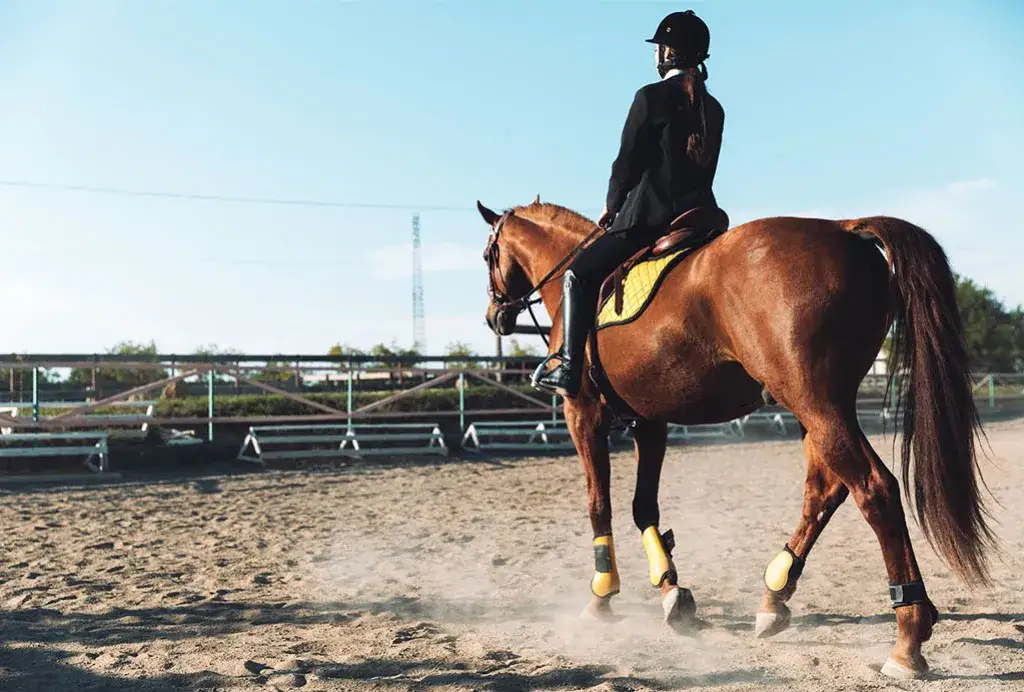 Czy jeżdżąc konno można schudnąć? Odkryj skuteczne sposoby na wagę