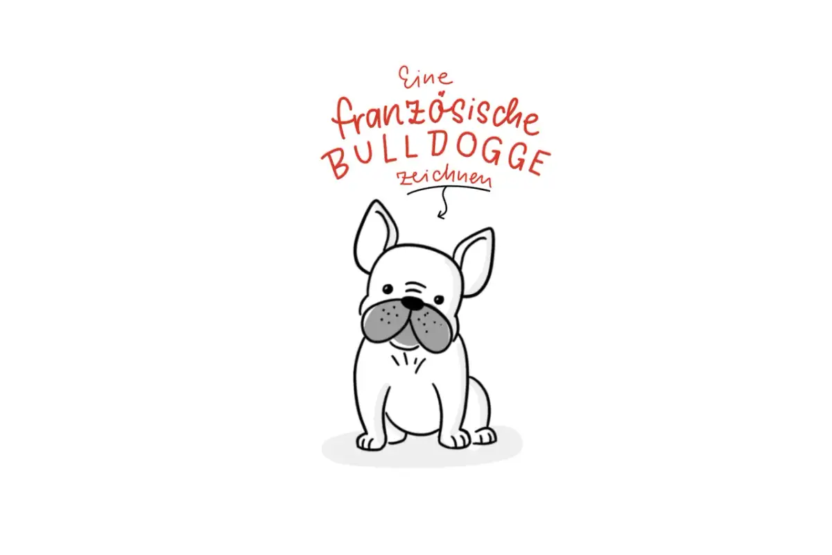 Französische Bulldogge zeichnen: Einfache Anleitung & Vorlagen