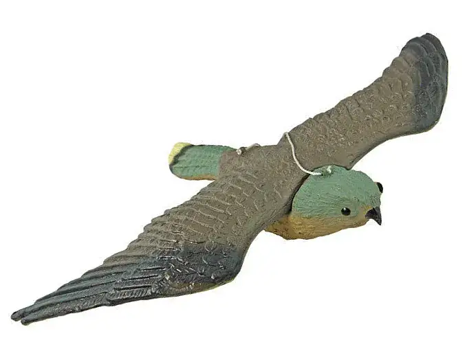 Ptaki na elewacji? Skuteczne odstraszanie gołębi, dzięciołów i innych!