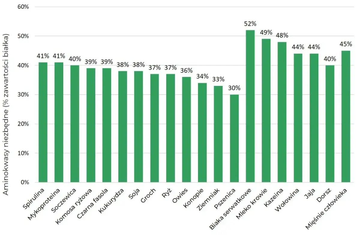 Czy białko roślinne buduje mięśnie? Odkryj prawdę o jego skuteczności