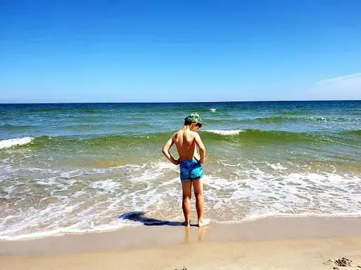 Jod nad Bałtykiem: Gdzie i kiedy szukać go dla zdrowia?