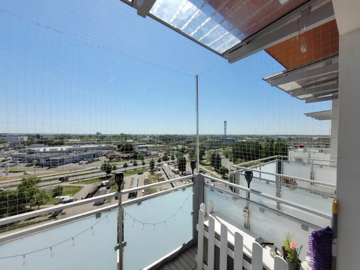 Montaż siatki na wróble: Jak chronić dach i uniknąć błędów?