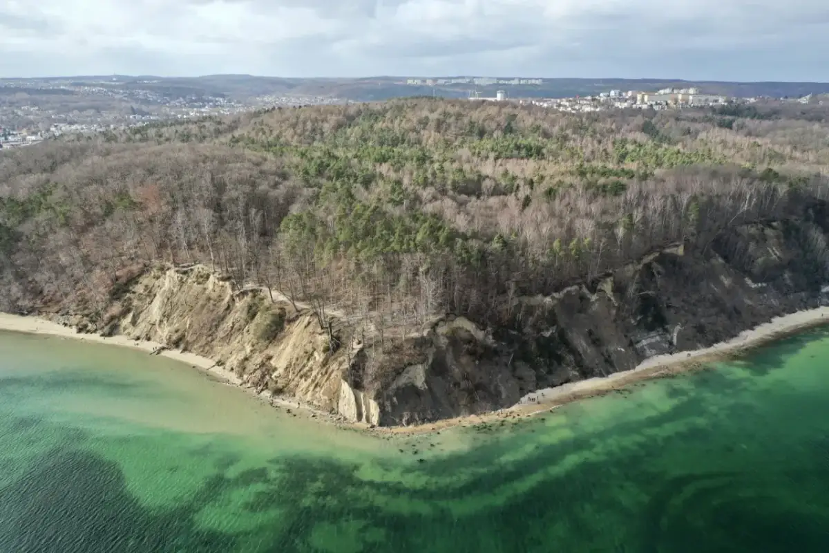 Malowniczy klif w rezerwacie przyrody Kępa Redłowska, porośnięty lasem, schodzi ku turkusowemu morzu. W oddali widać zabudowania miejskie.