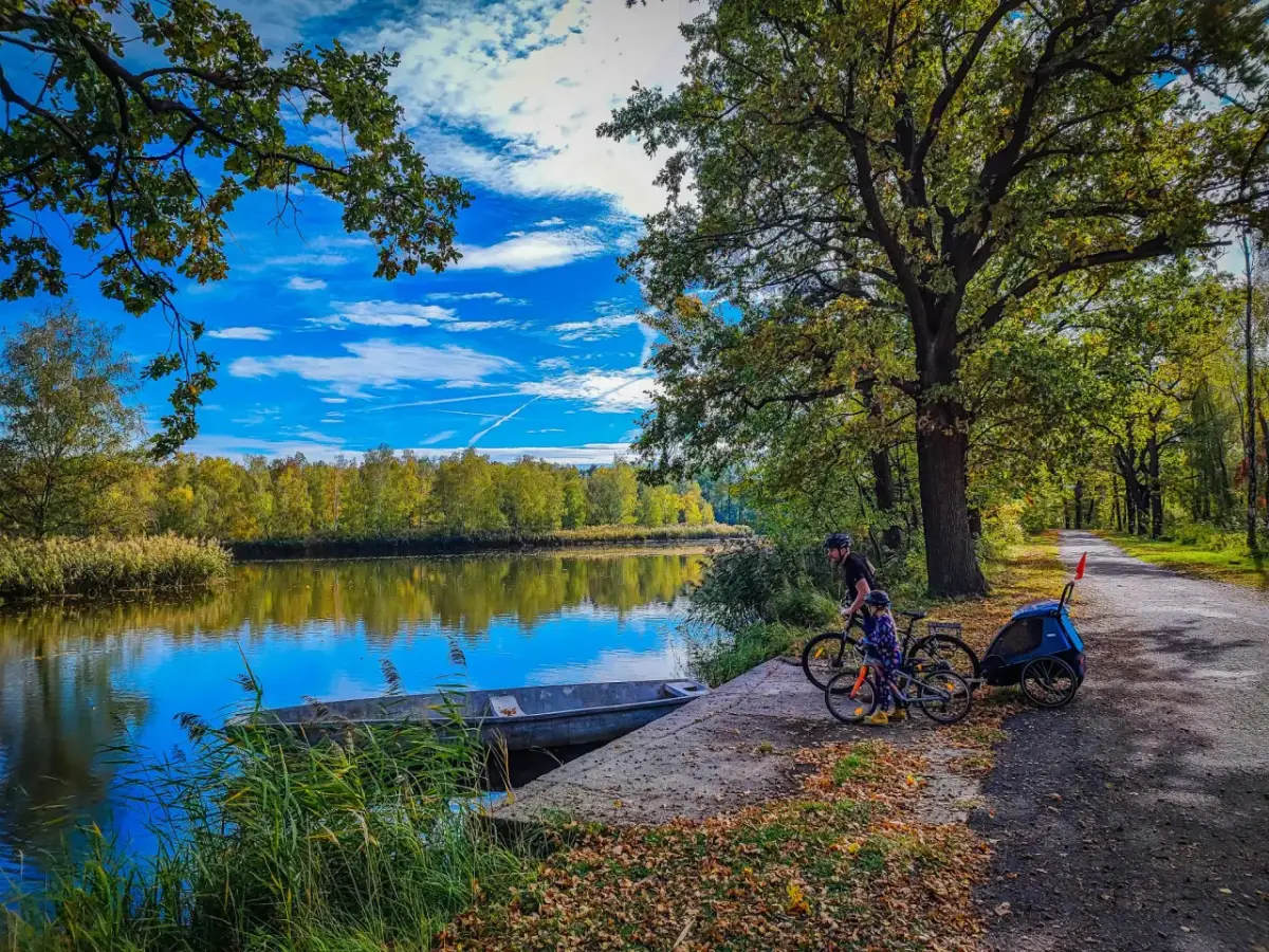 Najlepsze trasy rowerowe wokół Stawów Milickich - odkryj piękno natury