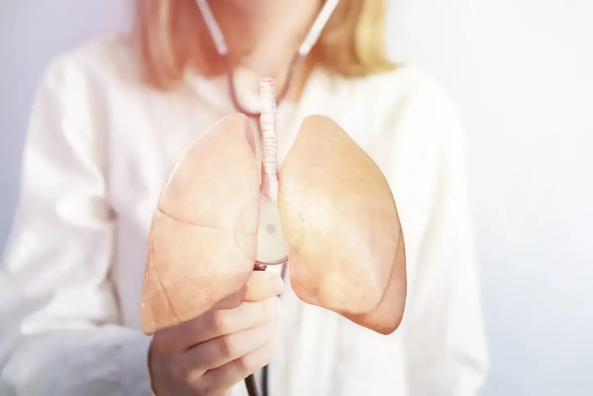 Dłoń trzymająca model płuc i stetoskop. Czy to sarkoidoza płuc czy to rak?