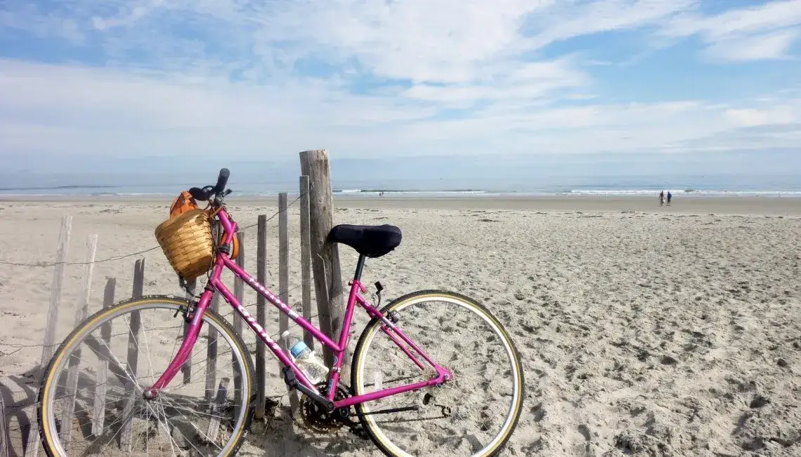 Trasa rowerowa Jastrzębia Góra Dębki - idealna na relaksujący wyjazd