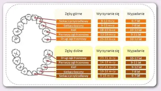 Ząbkowanie trójki objawy: jak rozpoznać ból i dyskomfort u dziecka