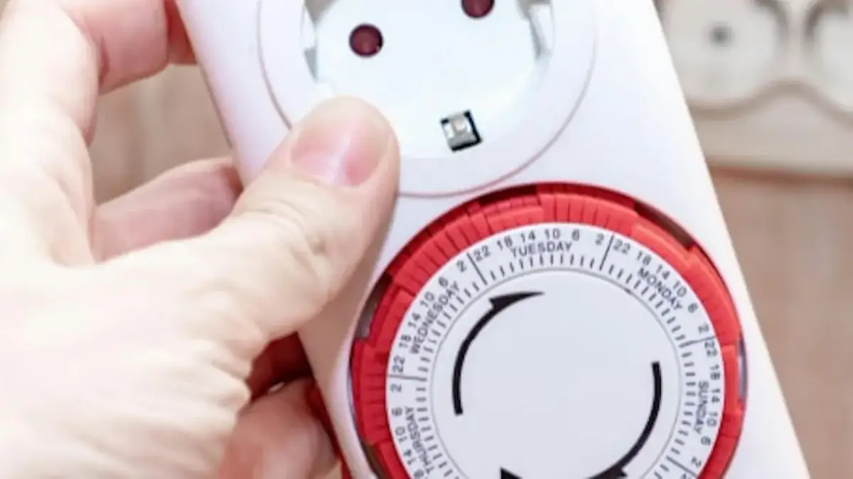 Dłoń trzyma mechaniczny zegar czasowy z tarczą dni tygodnia i godzin. Dowiedz się, jak ustawić zegar czasowy, aby zaplanować włączanie i wyłączanie urządzeń.