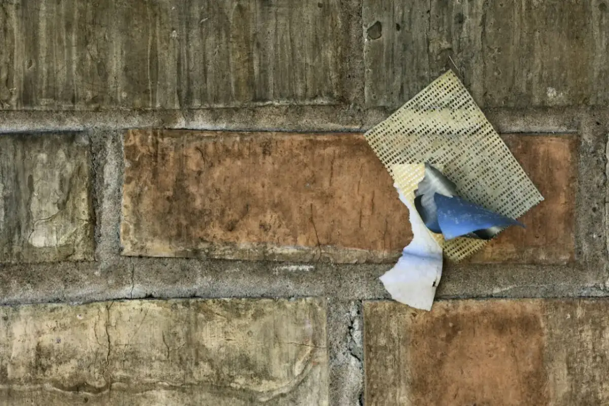 Fragment starej ceglanej ściany z resztkami siatki i papieru. Ciekawi mnie, ile schnie zaprawa murarska w takich warunkach.