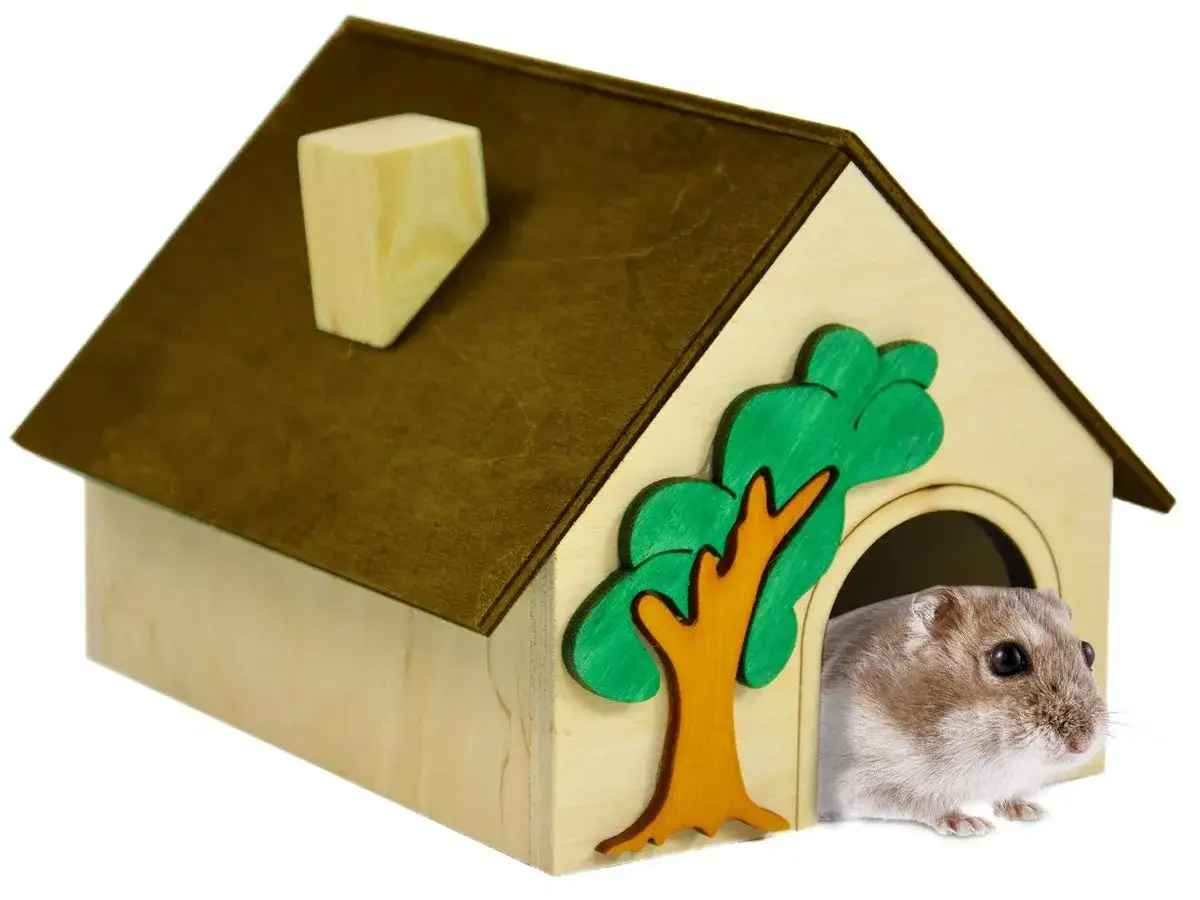Bezpieczny domek DIY dla chomika: Stwórz raj dla pupila