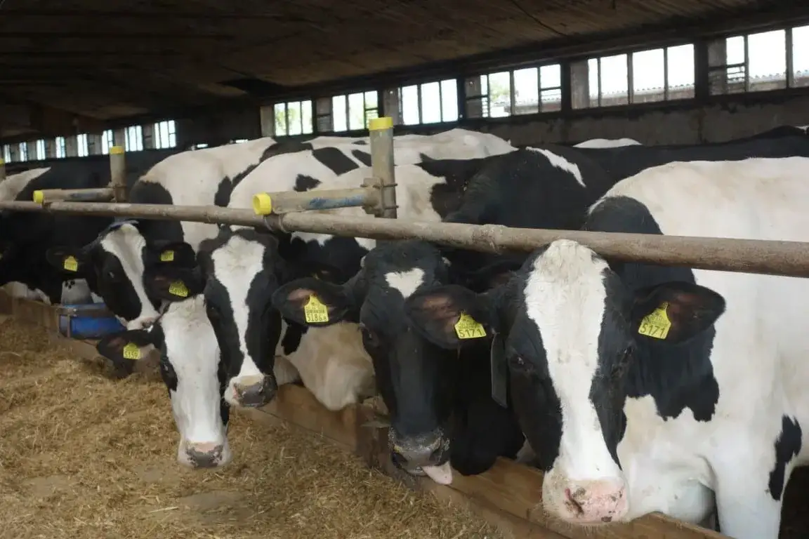 Co to jest hodowla? Kluczowe informacje o hodowli zwierząt i roślin