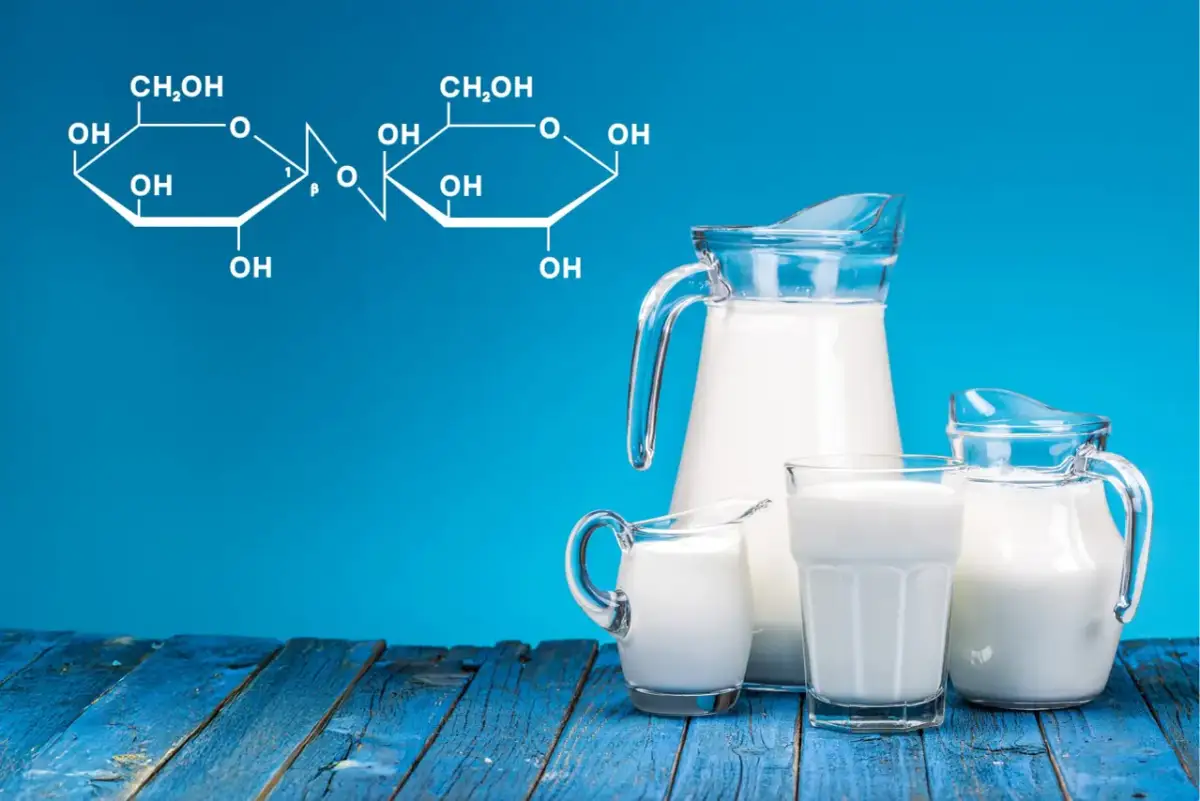Wzór chemiczny laktozy obok dzbanków z mlekiem. Czy laktoza jest potrzebna?