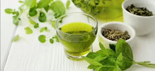 Ile pić zielonej herbaty, aby skutecznie schudnąć i uniknąć skutków ubocznych?