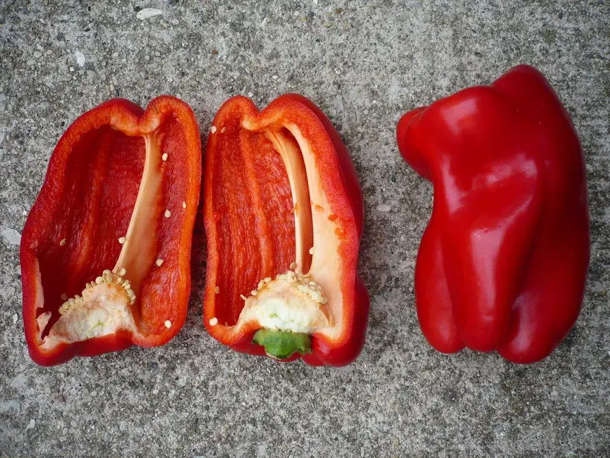 Jak uprawiać paprykę? Kompletny poradnik od A do Z