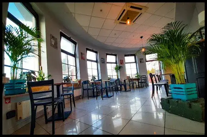 Gdzie zjeść w Zwierzyńcu? Odkryj najlepsze restauracje i smaki