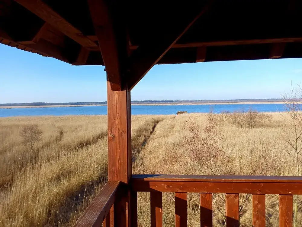 Jezioro Świdwie: niezwykłe miejsce dla miłośników ptaków i przyrody