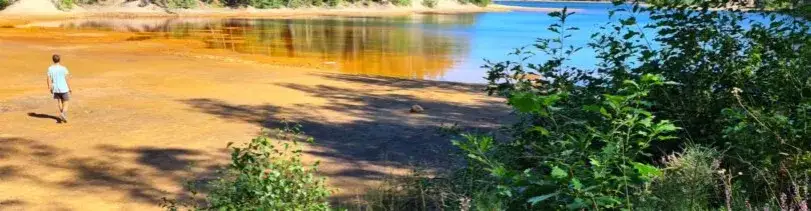Jezioro Łąkie - tajemnice, piękno i zagrożenia polskich jezior