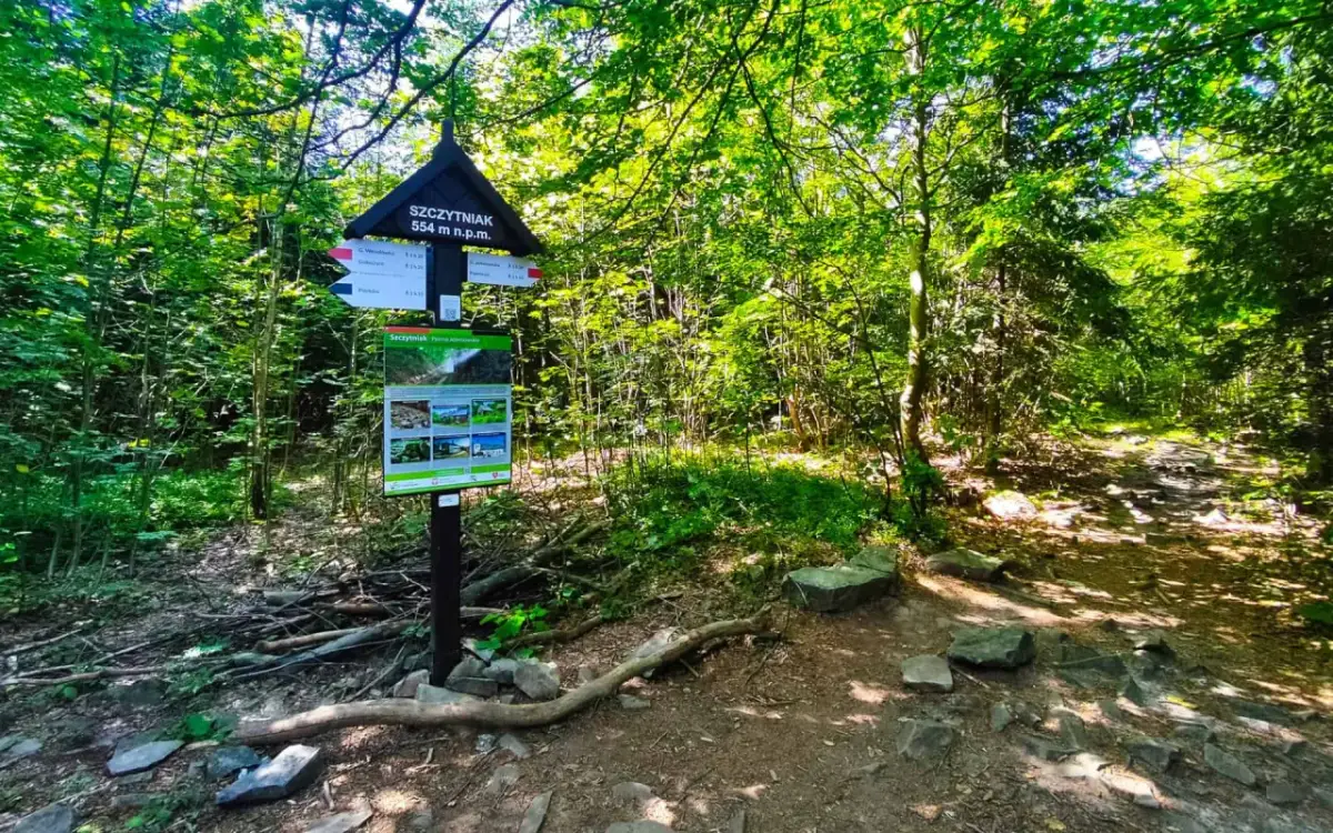 Tablica informacyjna w rezerwacie przyrody Szczytniak, wskazująca szlak i wysokość 554 m n.p.m.
