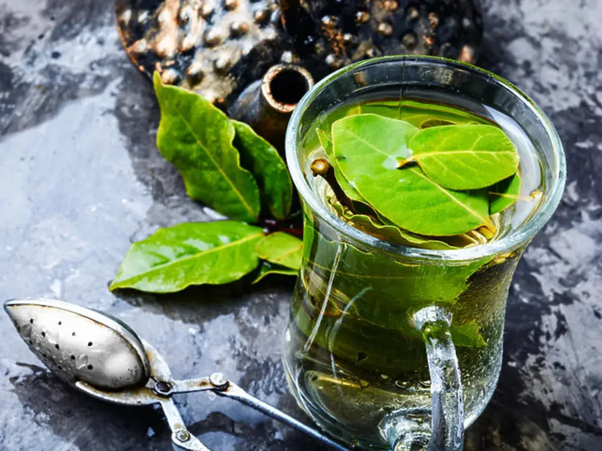 Napar z liści laurowych na co pomaga? Odkryj jego niezwykłe właściwości