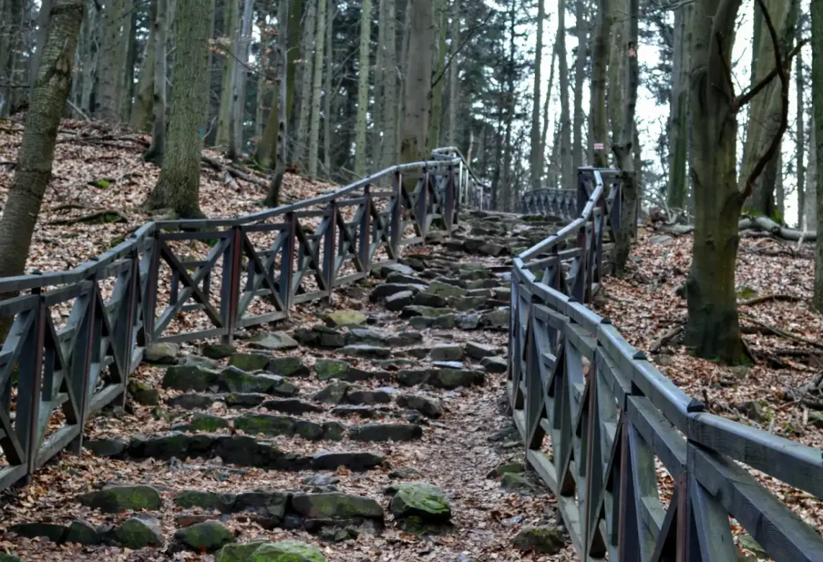 Najwyższy szczyt Gór Świętokrzyskich: Dlaczego warto odwiedzić Łysicę?