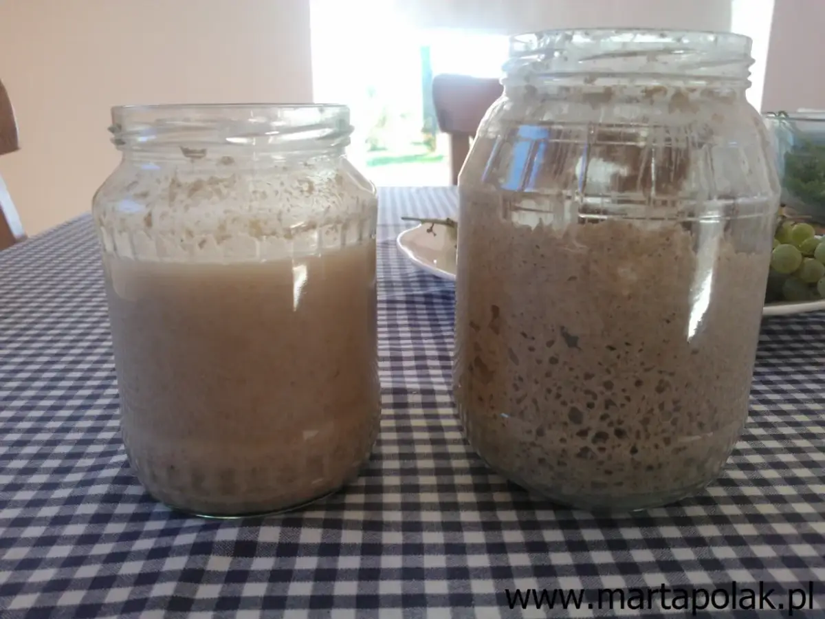 Jak dokarmiać zakwas na chleb? Poradnik dla idealnego wypieku