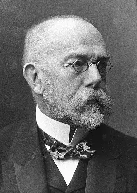 Robert Koch co odkrył? Niezwykłe osiągnięcia w mikrobiologii