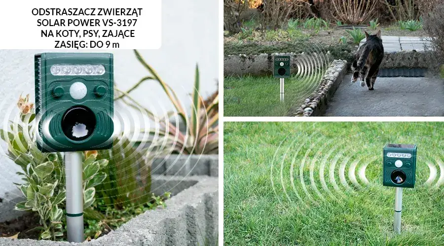 Jak pozbyć się kotów z działki w humanitarny i skuteczny sposób